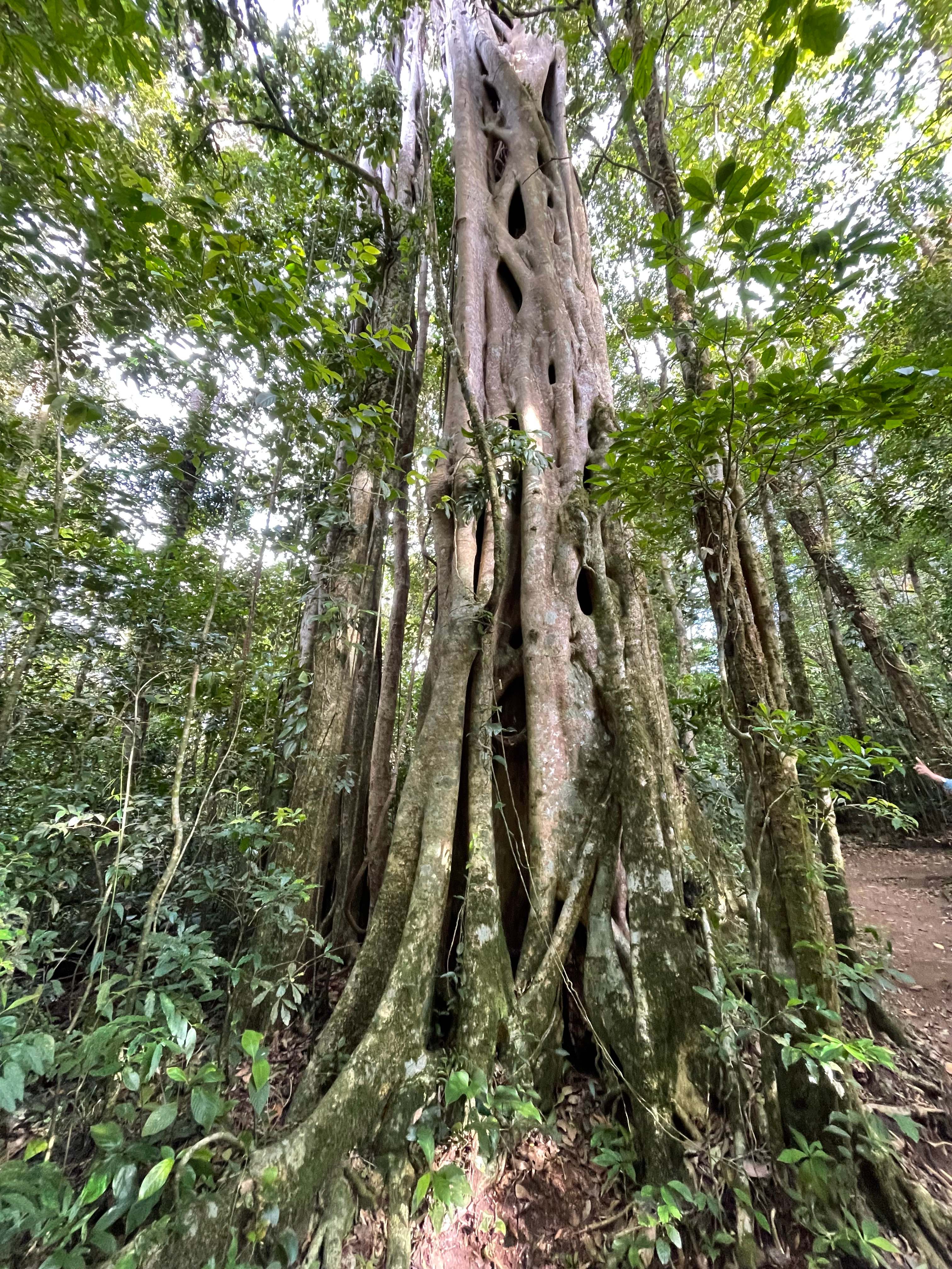 Costa Rica